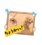 よつば♡ペニー☆仲良しスタンプl202（個別スタンプ：4）