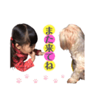 可愛いももかたん（個別スタンプ：8）