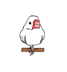 顔で語る白文鳥（個別スタンプ：6）
