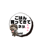 uniのいる暮らし2（個別スタンプ：12）