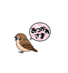 参勤交代双六スタンプ①（個別スタンプ：11）