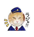 保護猫4兄弟のあいさつスタンプ（個別スタンプ：1）