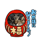 保護猫4兄弟のあいさつスタンプ（個別スタンプ：25）