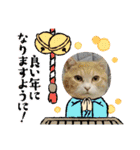 保護猫4兄弟のあいさつスタンプ（個別スタンプ：28）