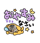 保護猫4兄弟のあいさつスタンプ（個別スタンプ：30）
