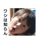 碧大明神 伍の陣（個別スタンプ：11）