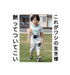 碧大明神 伍の陣（個別スタンプ：13）