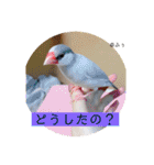 るぅたんペットファミリー第5弾（個別スタンプ：6）