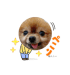 るぅたんペットファミリー第5弾（個別スタンプ：19）
