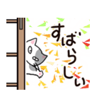 差し入れ猫の一日（日常会話スタンプ）（個別スタンプ：13）