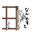 差し入れ猫の一日（日常会話スタンプ）（個別スタンプ：17）