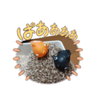 もずくとかシリーズ（個別スタンプ：6）
