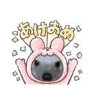 もずくシリーズ（個別スタンプ：1）