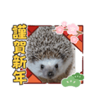 もずくシリーズ（個別スタンプ：4）