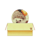 もずくシリーズ（個別スタンプ：8）