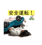 橋本family②（個別スタンプ：12）