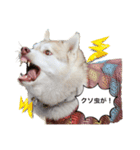 マハロの日常？（個別スタンプ：3）
