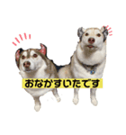 マハロの日常？（個別スタンプ：7）