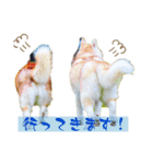 マハロの日常？（個別スタンプ：8）