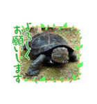 これからも大丈夫（個別スタンプ：10）