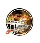 これからも大丈夫（個別スタンプ：11）