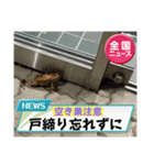 これからも大丈夫（個別スタンプ：15）