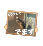 これからも大丈夫（個別スタンプ：16）