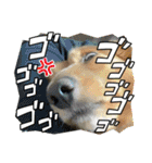 これからも大丈夫（個別スタンプ：24）