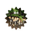 これからも大丈夫（個別スタンプ：27）