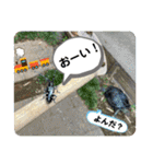 これからも大丈夫（個別スタンプ：28）