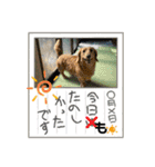 これからも大丈夫（個別スタンプ：34）
