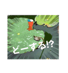 これからも大丈夫（個別スタンプ：37）