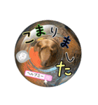 これからも大丈夫（個別スタンプ：38）