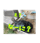 これからも大丈夫（個別スタンプ：39）