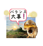 シェル＆くぅ（個別スタンプ：7）