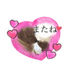 シェル＆くぅ（個別スタンプ：21）