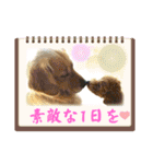 シェル＆くぅ（個別スタンプ：31）