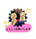 シェル＆くぅ（個別スタンプ：36）