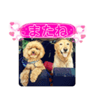 シェル＆くぅ（個別スタンプ：38）