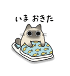 もちゃねこシャム（個別スタンプ：1）