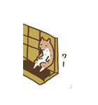 温泉犬（個別スタンプ：3）