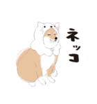 いつもの柴犬（個別スタンプ：11）