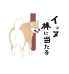 いつもの柴犬（個別スタンプ：14）