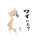 いつもの柴犬（個別スタンプ：21）