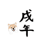 いつもの柴犬（個別スタンプ：24）