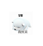 [韩语]可爱的小天使北极白色小狗 qcB（個別スタンプ：16）
