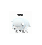 [韩语]可爱的小天使北极白色小狗 qcB（個別スタンプ：30）