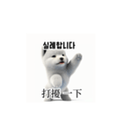 [韩语]可爱的小天使北极白色小狗 qcB（個別スタンプ：40）