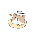 わふわふのこぎ（個別スタンプ：1）