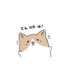 わふわふのこぎ（個別スタンプ：2）